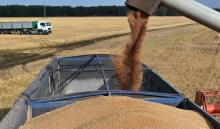 Новый рекордный объем отгрузки зерна на экспорт ПАО «НКХП»